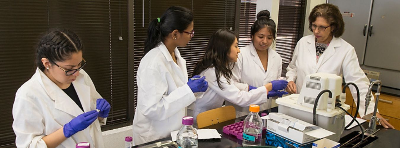 Undergraduate Research students testing water samples with faculty member