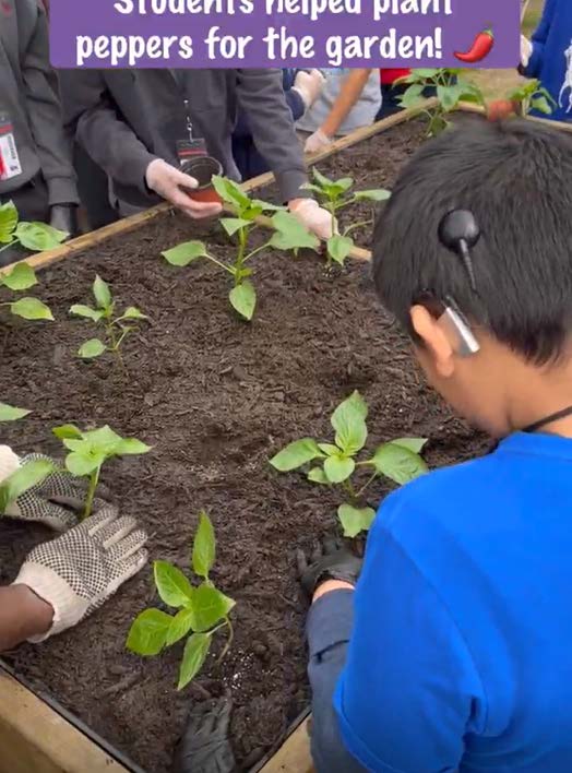 student working on the garden