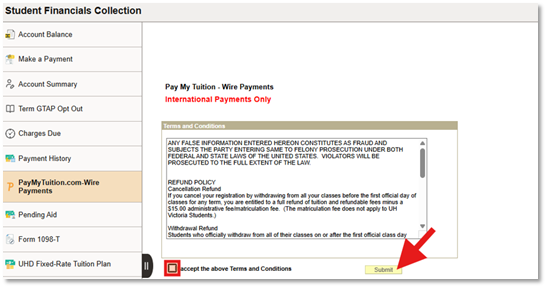 Screenshot of Submit button and Terms acceptance
