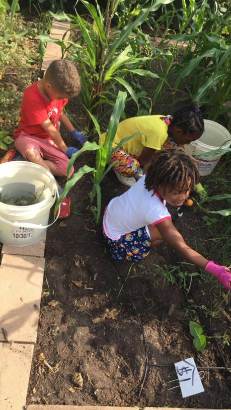 kids working in garden