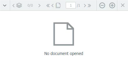 Document Viewer Window