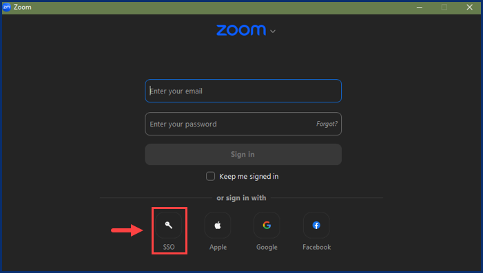 A screenshot of the Zoom Sign In options.
