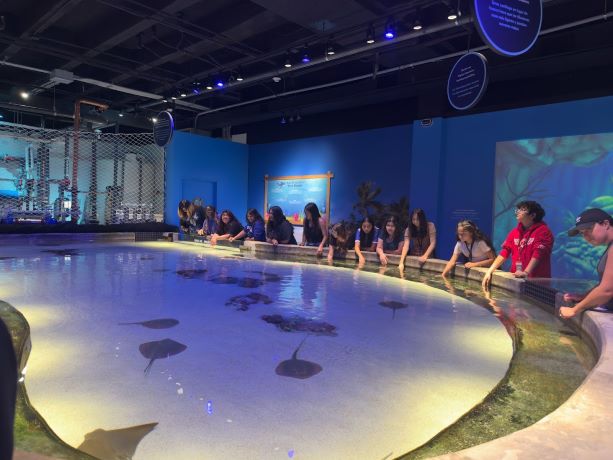 Houston Museum of Natural Science
