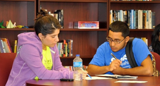 Students Studying Together