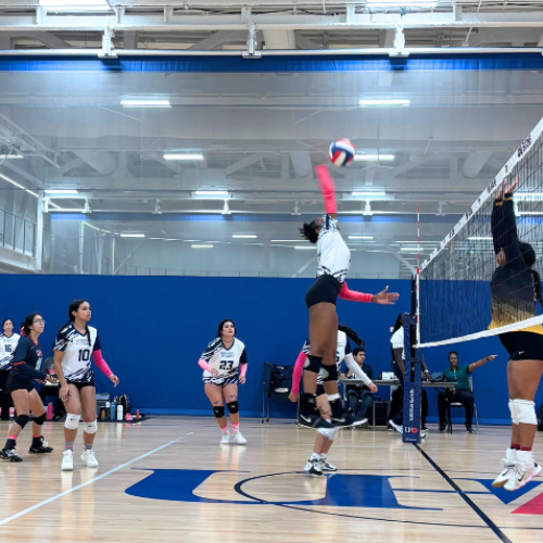 womens volleyball team from university of houston downtown play a game of volleyball at the wellness and success center 