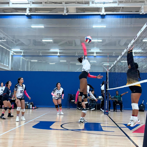 womens volleyball team from the university of houston-downtown play on the wellness and success center court